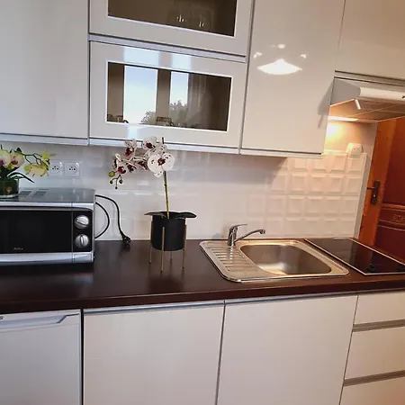 Nr 7 Z Tarasem, Przy Szlaku Karpacz